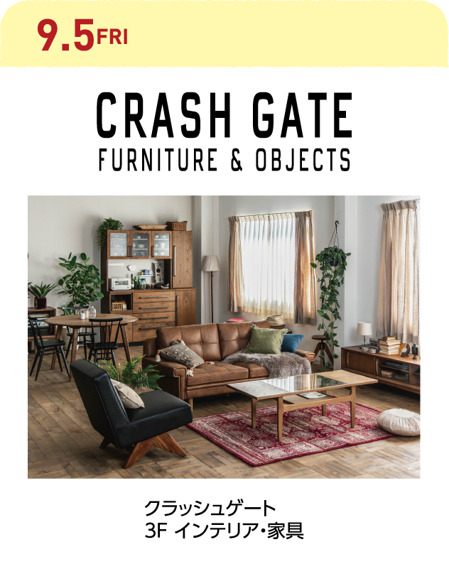 CRASH GATE