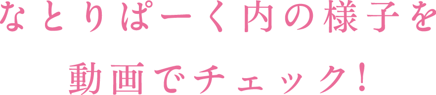 なとりぱーく内容を動画でチェック！